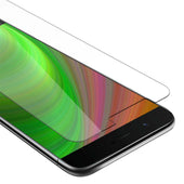 Lade das Bild in den Galerie-Viewer, Transparent / 5