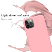 Load image into Gallery viewer, Rosa / iPhone 13 MINI