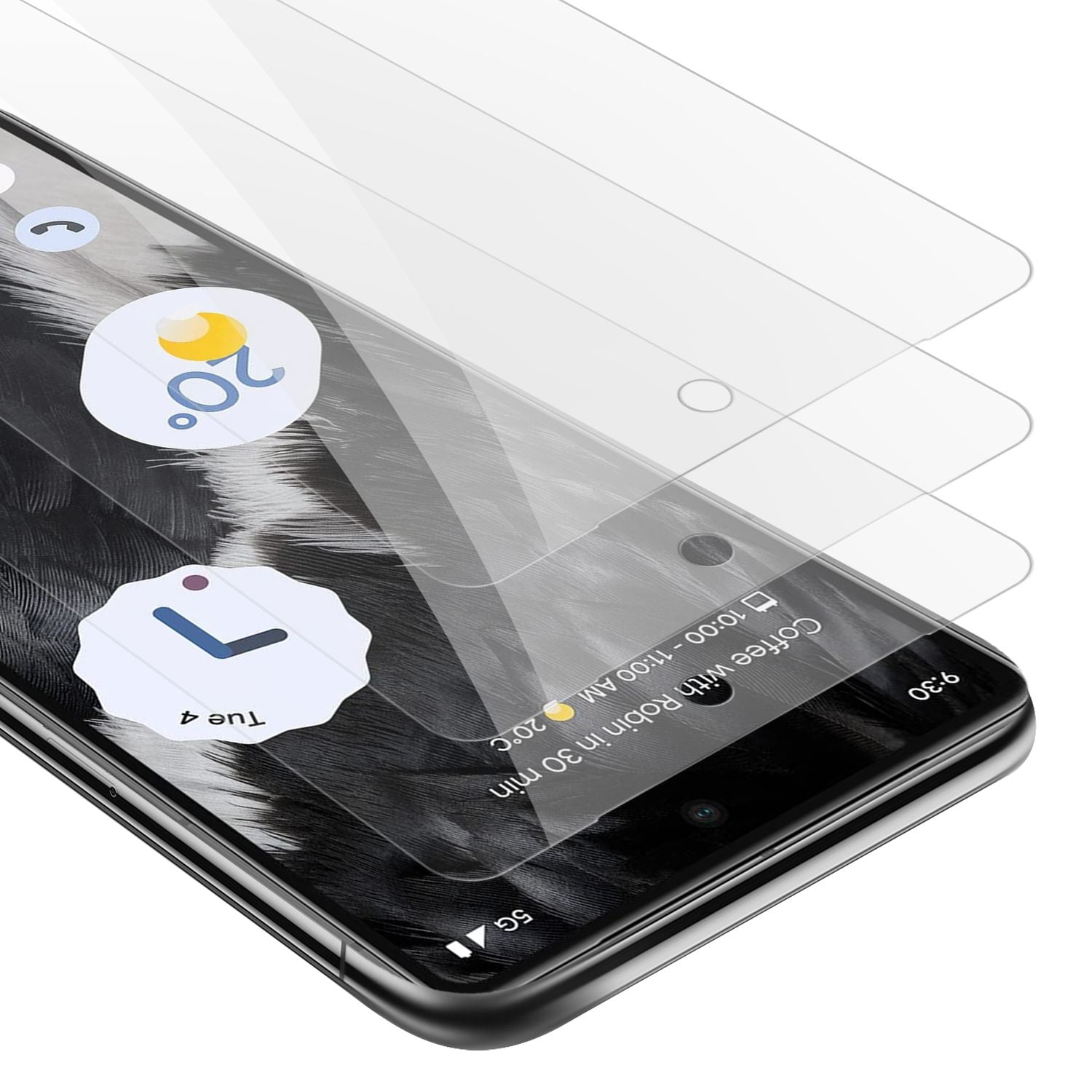 Transparent / PIXEL 7