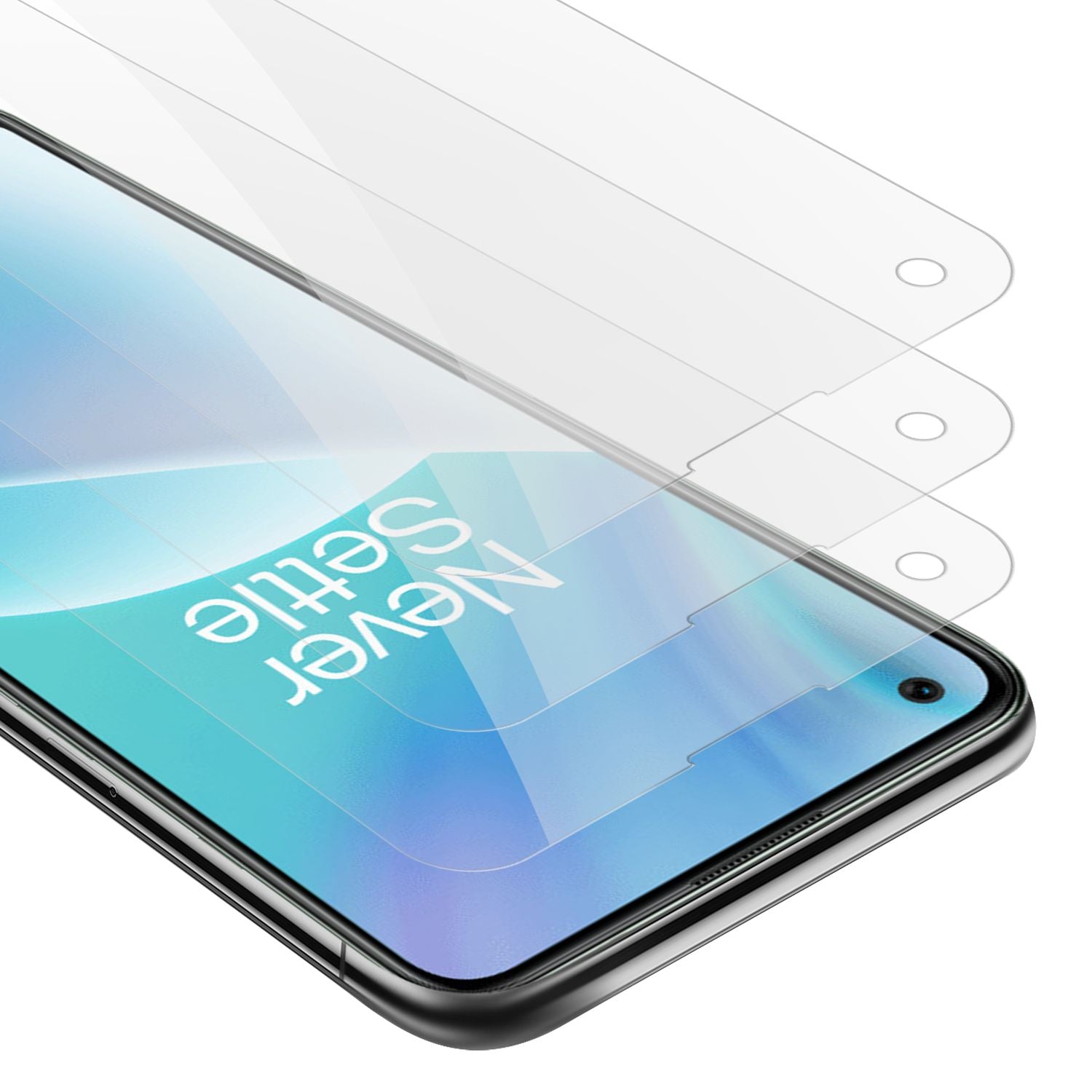 Transparent / Nord 2T